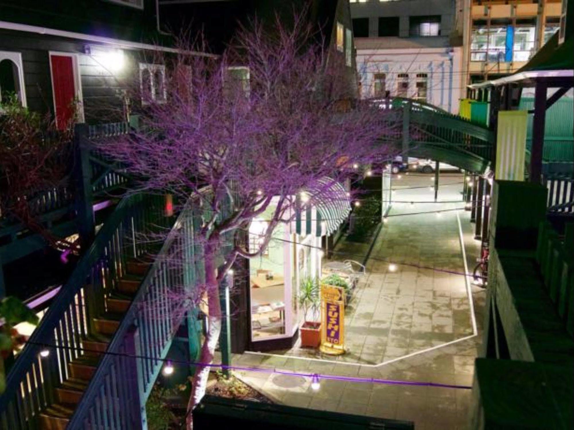 Willis Village Уелингтън Екстериор снимка